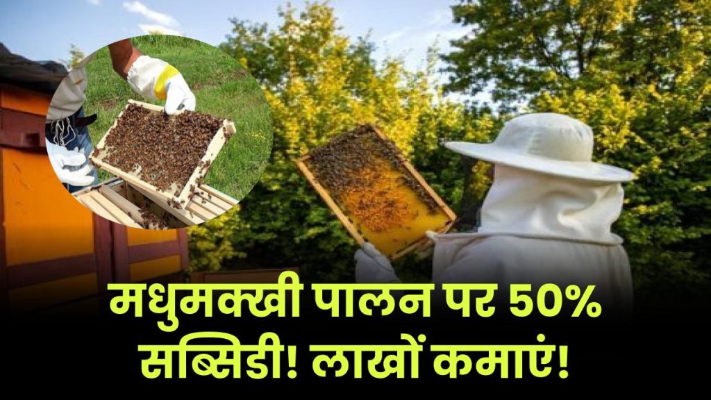 किसानों को मिलेगा मधुमक्खी पालन पर 50% अनुदान, जानें कैसे होगी लाखों की कमाई 1 किसानों को मिलेगा मधुमक्खी पालन पर 50% अनुदान, जानें कैसे होगी लाखों की कमाई