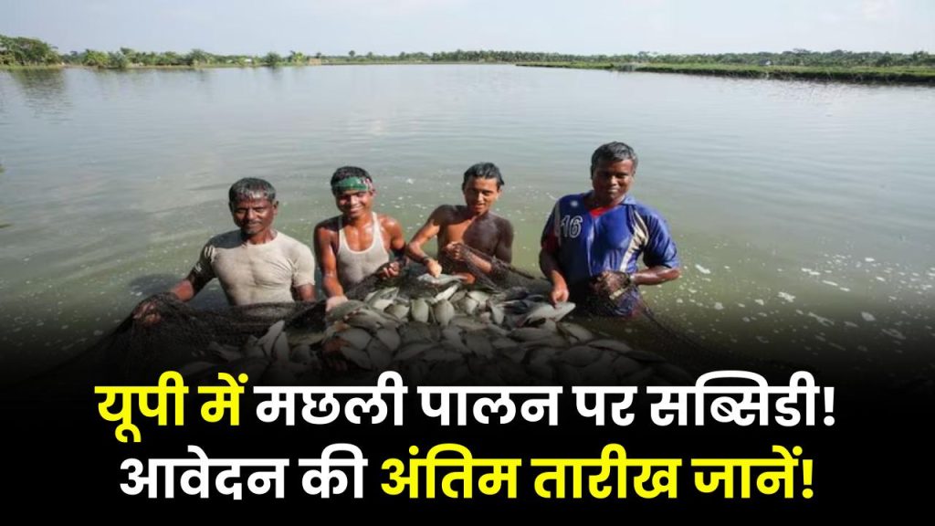 Fish Farming Scheme: यूपी सरकार मछली पालन के लिए ले रही ऑनलाइन आवेदन, जानें आवेदन की आखिरी तारीख 1 Fish Farming Scheme: यूपी सरकार मछली पालन के लिए ले रही ऑनलाइन आवेदन, जानें आवेदन की आखिरी तारीख