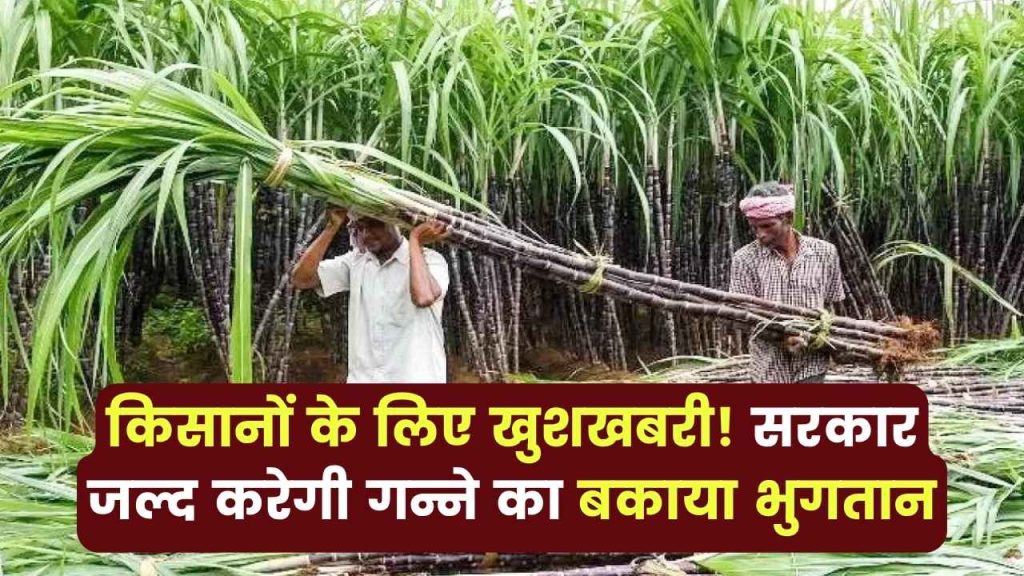 किसानों के लिए खुशखबरी! सरकार जल्द करेगी गन्ने का बकाया भुगतान, देखें 1 किसानों के लिए खुशखबरी! सरकार जल्द करेगी गन्ने का बकाया भुगतान, देखें