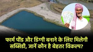 खेती के लिए फार्म पौंड और डिग्गी बनाने के लिए कितनी मिलेगी सब्सिडी, कौन है बेहतर विकल्प? जानें अंतर