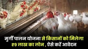 मुर्गी पालन लोन योजना 2025: किसानों को मिल रहा है 9 लाख तक का लोन, जानें कैसे और कहां करें आवेदन