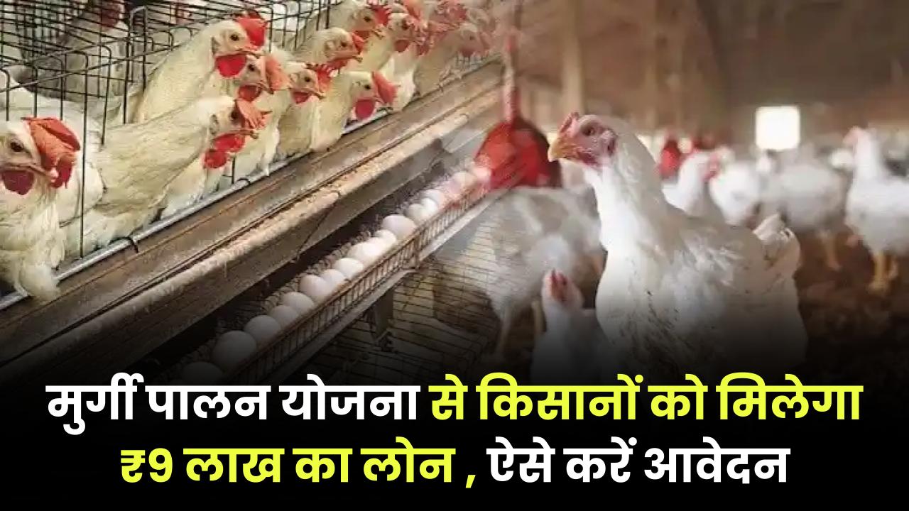 मुर्गी पालन लोन योजना 2025: किसानों को मिल रहा है 9 लाख तक का लोन, जानें कैसे और कहां करें आवेदन