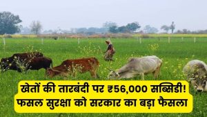 आवारा पशुओं से फसल की सुरक्षा के लिए मिलेगी ₹56,000 की सब्सिडी, खेतों की तारबंदी पर सरकार का बड़ा फैसला