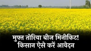 किसानों को मिलेगा मुफ्त तोरिया बीज मिनीकिट! कमाई का बड़ा मौका, आवेदन प्रक्रिया आज से शुरू
